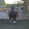 Mason Crane - @masoncrane10 - TikTok