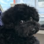 @duke.maison - Instagram
