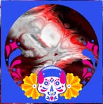 Maison Dunn - Facebook