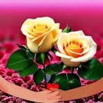 Madison Edwards - Facebook