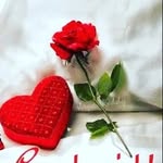 Maison James - @maisonjames7 - Instagram