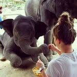 رافعه حاجبها وماحد عاجبها - @maisonlove12 - Instagram