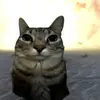Maison McBride - @maison.mcbride - TikTok