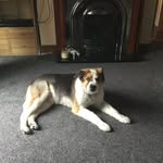 Maison - @maison_murphy - Instagram