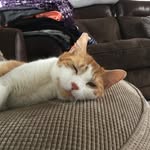 Maison Stanely Murphy - @maisonmurphy19 - Instagram