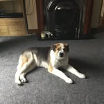 Maisonmurphy - @maisonmurphy2006 - Instagram