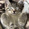 Maison Parker158 - @maisonparker69 - TikTok