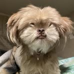 Mason Petersen - Facebook