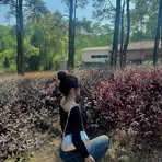 Mai Son Pham - Facebook