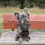 Maison Richards - Facebook