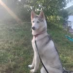 Maison Roberts - @maison_roberts1 - Instagram