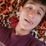 Maison Silva - @maison_silva_7648 - Instagram