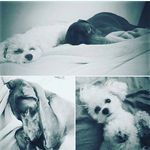 maison stanley - @baseball_master2 - Instagram