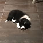 Maison Turner - @maison.turner.92 - Instagram
