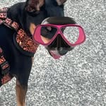 Maison Maison - @maisonwalker71 - Instagram