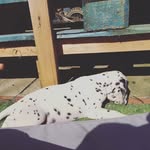 Maison Webb - @the_best_boy_maison - Instagram
