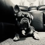 Maison Webb - Facebook