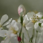 @maisonwhite - Instagram