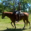 Kountryboi.405 - @maisonwilliams92 - TikTok
