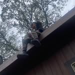 Maison Williams - @maisonwilliams2029 - Instagram