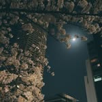大井 - @maisonwolf0203 - Instagram