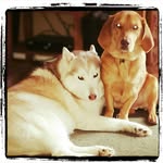 Brayden Tansey - @maisy_bailey_stoly - Instagram