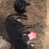 Maisie and bailey - @maisey_bailey - TikTok