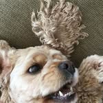 Maisy_brown - @_maisy_brown - Instagram
