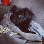 Maisy Serrano-Brown - @maisyladyofthestreets - Instagram