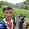ໄມ້ ສີ ຈາງ່ - @maisychang - TikTok