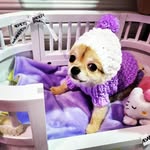 Maisy Chan - @maisychan - Instagram