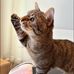 Maisy Chan - Facebook