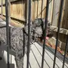 chase.maisy.grace.crew - @chase.maisy.grace.crew - TikTok