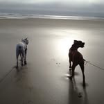 Cydney Doerr - @_maisy_cooper_ - Instagram