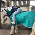 𝐌𝐚𝐢𝐬𝐲 𝐜𝐨𝐱 - @__.maisy.__ - Instagram