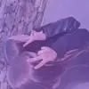 @ukmaisy - @maisy.evans05 - TikTok