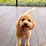 Maisy Hall - Facebook