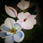 Maisy Ho - @maisyho510 - Instagram