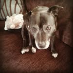 Maisie 😆😇, Eleanor 😇😬 - @maisyjackson2006 - Instagram
