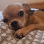maisy jackson - @maisy_loveslife - Instagram