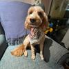 maisy !! - @keith_maisy - TikTok