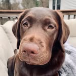 Maisy Lee - @raising.miss.maisy - Instagram