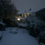 Maisy lee - @maisy3599 - Instagram