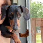 @maisylonggirl - Instagram