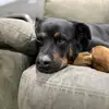 maisylongueil - @maisylongueil - TikTok