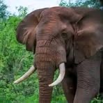 Maxwell Masai - Facebook