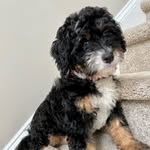 Maisy Meyer - @maisydoodlemeyer - Instagram