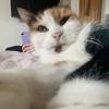 Maisy - @maisy.rossx - TikTok