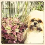 Maisy Ryan - @my_maisy2011 - Instagram