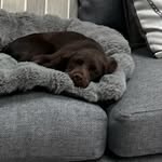 Maisy Taylor - @maisy6076 - Instagram